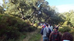 El camino de acceso al embalse discurre entre Alcornoques