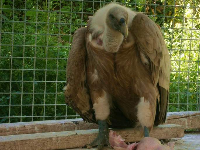 Nuestra protagonista comienza a recuperarse de su aventura, ya a salvo en el centro de recuperación.