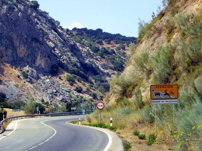 Respetar los avisos de las señales de paso de fauna silvestre ayuda a evitar atropellos. Zona con alta biodiversidad.