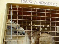 20130926 El Chorro, 00