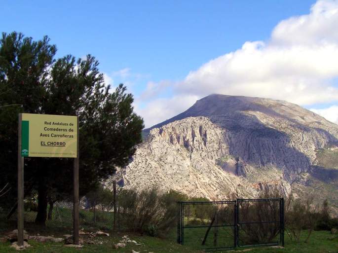 Este comedero fue establecido por la asociación hace más de 30 años y está integrado en el Programa de Conservación de las Aves Necrófagas en Andalucía