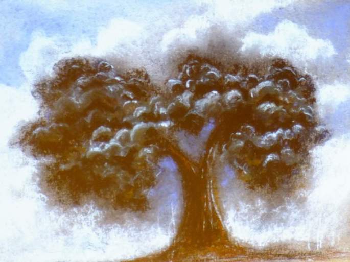 Los árboles siempre fueron vitales para Paco, los representó y defendió en mil maneras. Entre ellos siempre destacó la encina. 