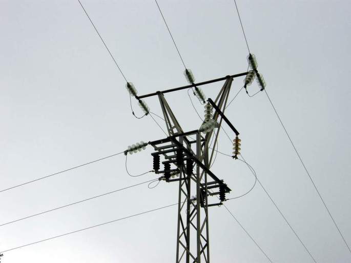 Apoyo eléctrico peligroso para grandes aves, provocó la electrocución del buitre