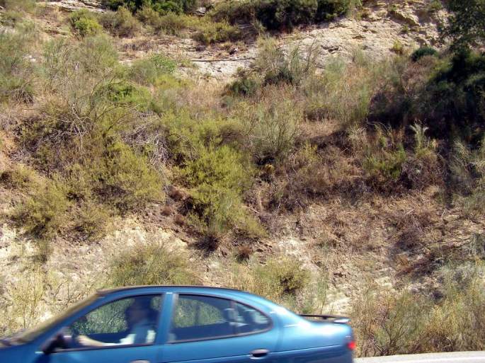Tras un vuelo rasante frente a un camión, aterriza al otro lado de la carretera