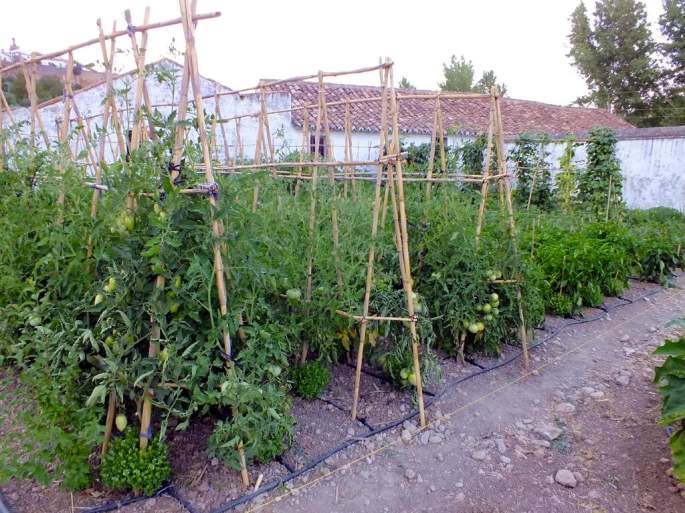 Curso Manejo Huerto Ecologico 2014, 1