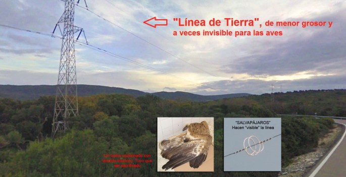 Colision con tendidos electricos_1