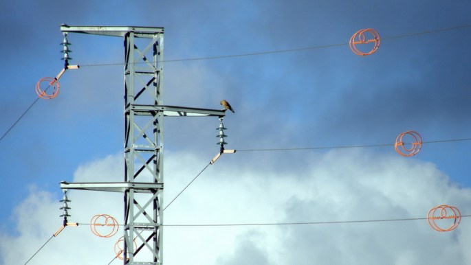 Colision con tendidos electricos_7