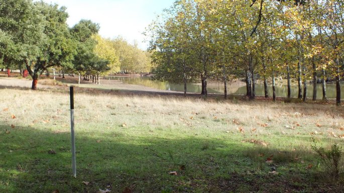 Esta señal de madera blanca y verde es la que marca el centro de la Cañada Real, con una anchura de 37 metros a cada lado