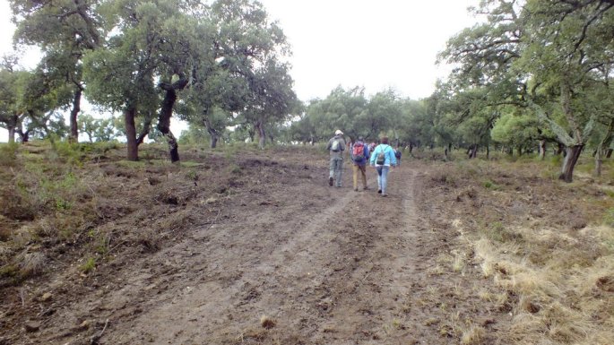Tras los dias de lluvia, algunos tramos del nuevo trazado pueden estar algo embarrados