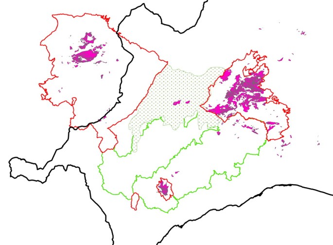 En color rosa, las zonas con Pinsapos o donde estos han existido. Marcado con punteado, el Corredor Verde del Pinsapo.