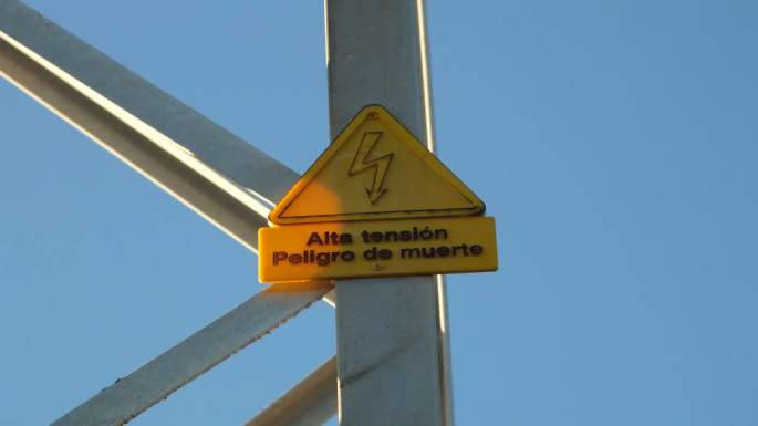 20150121 Buitre Electrocutado Casares 11