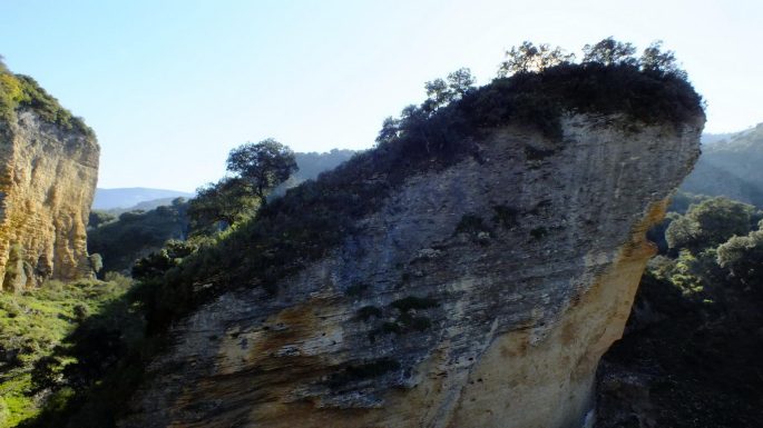 20150208 MARCHA TAJO ABANICO, 5