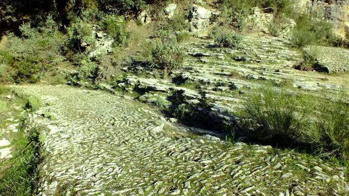 20150208 MARCHA TAJO ABANICO, 6