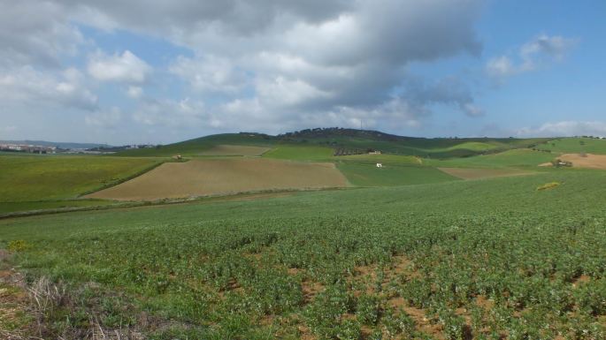 Marcha Caminos 25ABR2015, 2