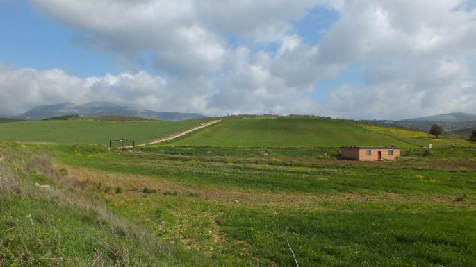 Marcha Caminos 25ABR2015, 5