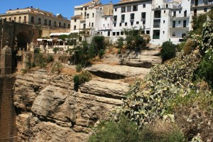 Fotos chumberas- Julio 2015 002