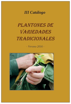 Catalogo Verano 2016, decargar