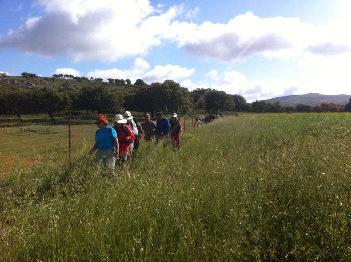 caminos_fali_20160602a