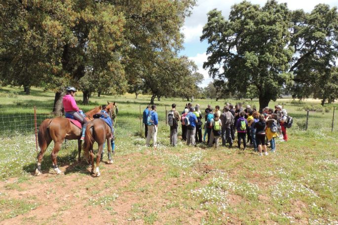 caminos_fali_20160602b