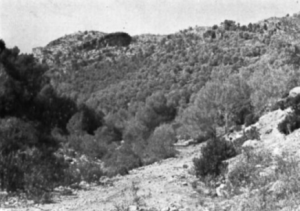 Arroyo de los Horcajos